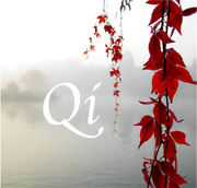 QI - Meditation - Sampler