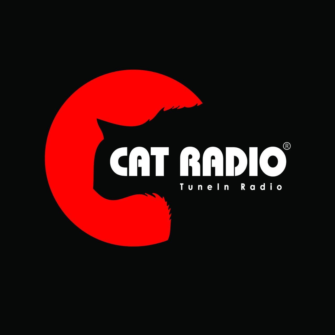 Cat Radio Live Radio