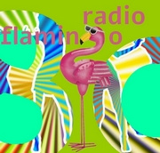 RADIO FLAMINGO 80