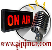 Alpimur radio