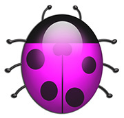 Ladybug Radio