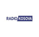 Listen live to the RTK Radio Kosova - Priština radio station online now.