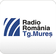 Listen live to the SRR Radio Târgu Mures - Târgu Mures radio station online now.