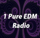 1 Pure EDM Radio