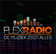 Flex Radio