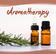 AROMATHERAPY - Sampler