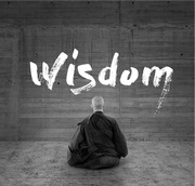 WISDOM - Sampler