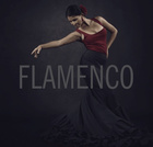 FLAMENCO - sampler