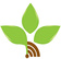 New Life Radio