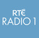 RTE Radio 1