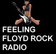 Feeling Floyd Rock