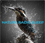 NATURE RADIO SLEEP