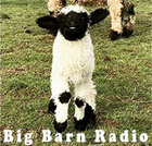 Big Barn Radio