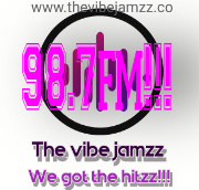 The Vibe Jamzz