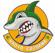 Radio Gozdawa