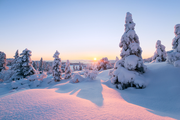 Winterscapes
