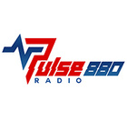 Pulse 880 Radio