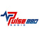 Pulse 880 Radio