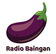 Radio Baingan