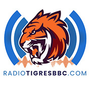 Radio Tigres Broadcast Baseball Channel