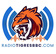 Radio Tigres Broadcast Baseball Channel