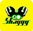 Dj Shaggy Venezuela