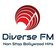 Diverse FM