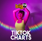 bigFM TikTok Charts