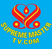 Supreme Master Television