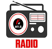 Narshingbari Radio