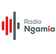 Radio Ngamia