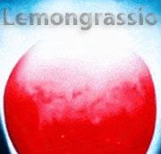 Lemongrassio