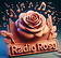 radyo rz
