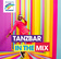 Radio Regenbogen Tanzbar in the Mix