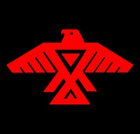 Eclectic001 Turtle Island Ojibwe Edition