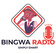 Bingwa Radio