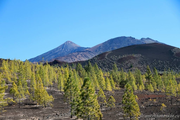 tenerife