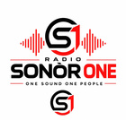 Radio Sonor One